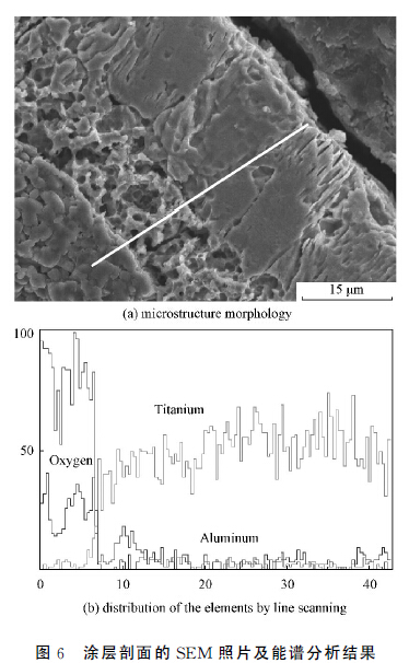 圖６　涂層剖面的ＳＥＭ 照片及能譜分析結果